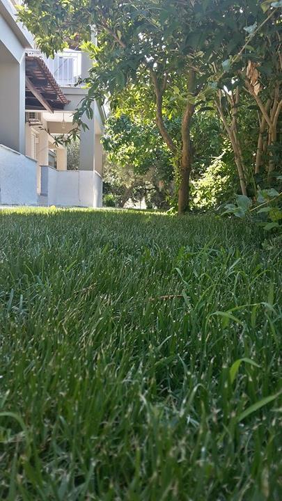 Miranda Apartament